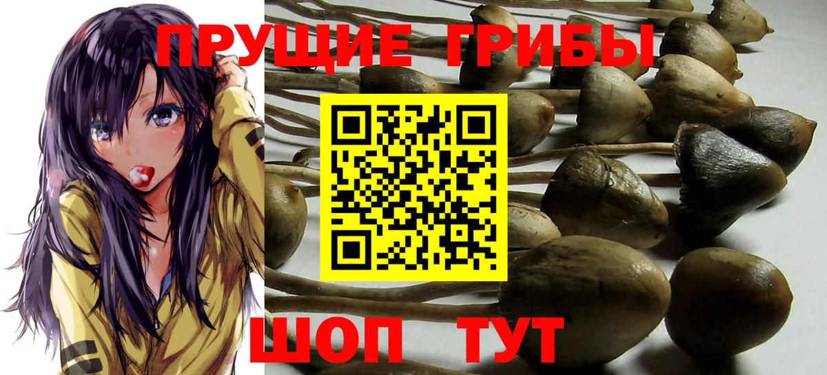 Меф мяу мяу Черногорск